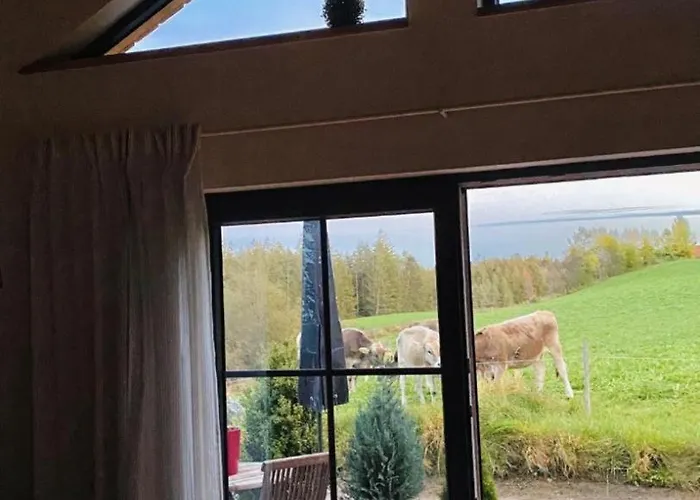 Schorenmoos-lodge *